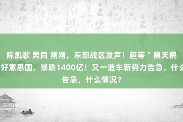 陈凯歌 男同 刚刚，东部战区发声！超等＂黑天鹅＂直击好意思国，暴跌1400亿！又一造车新势力告急，什么情况？