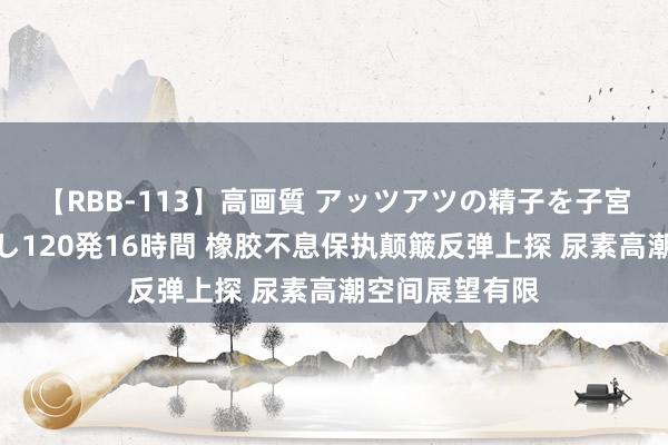 【RBB-113】高画質 アッツアツの精子を子宮に孕ませ中出し120発16時間 橡胶不息保执颠簸反弹上探 尿素高潮空间展望有限