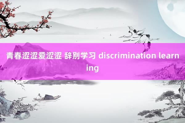 青春涩涩爱涩涩 辞别学习 discrimination learning