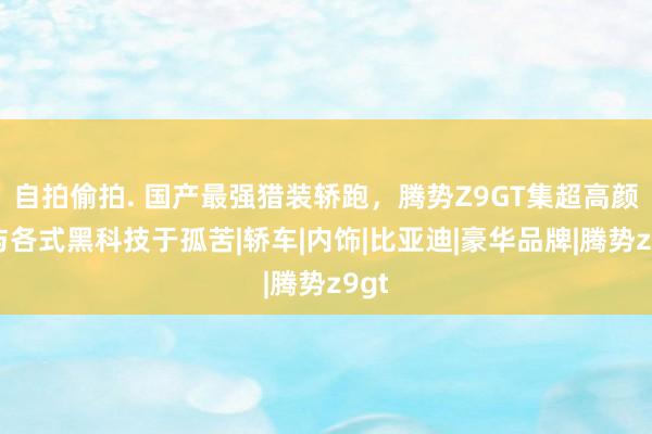 自拍偷拍. 国产最强猎装轿跑，腾势Z9GT集超高颜值与各式黑科技于孤苦|轿车|内饰|比亚迪|豪华品牌|腾势z9gt