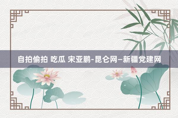 自拍偷拍 吃瓜 宋亚鹏-昆仑网—新疆党建网